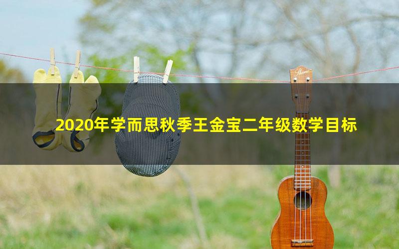 2020年学而思秋季王金宝二年级数学目标S班（完结）（高清视频）