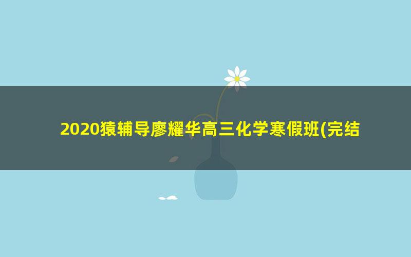 2020猿辅导廖耀华高三化学寒假班(完结)（超清视频）