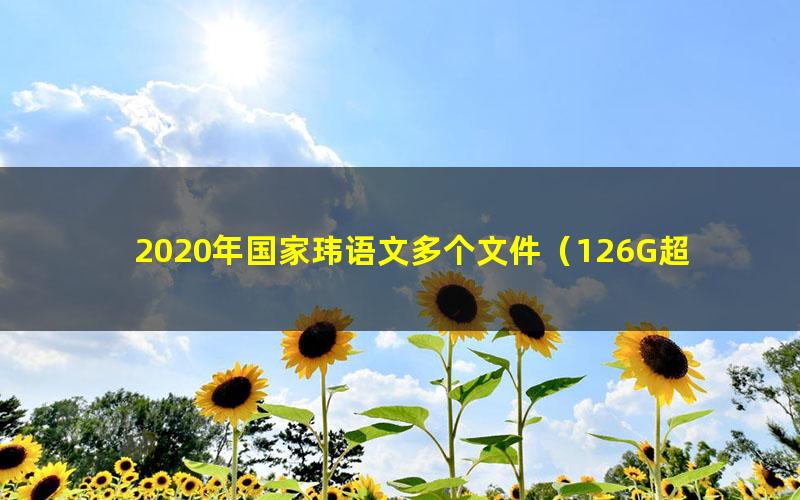 2020年国家玮语文多个文件（126G超清视频）