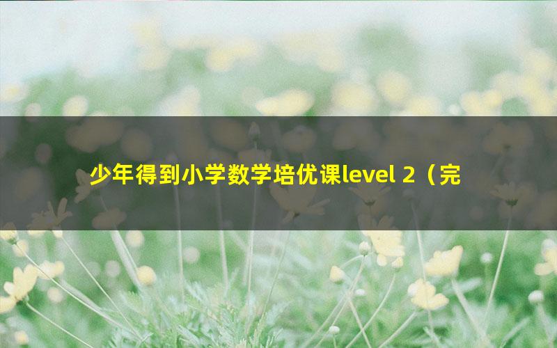 少年得到小学数学培优课level 2（完结）