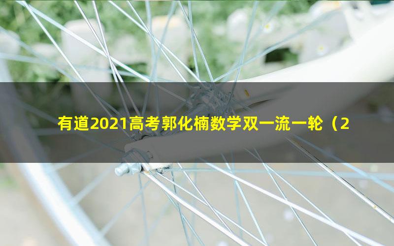 有道2021高考郭化楠数学双一流一轮（25.5G高清视频）