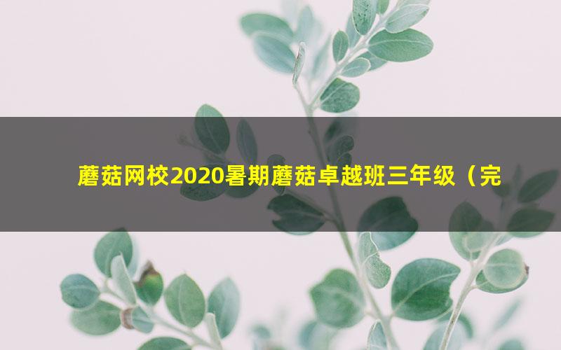 蘑菇网校2020暑期蘑菇卓越班三年级（完结）（5.60G高清视频）