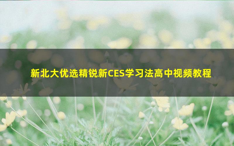 新北大优选精锐新CES学习法高中视频教程优选优学方法-高中五科（13.0G高清视频）