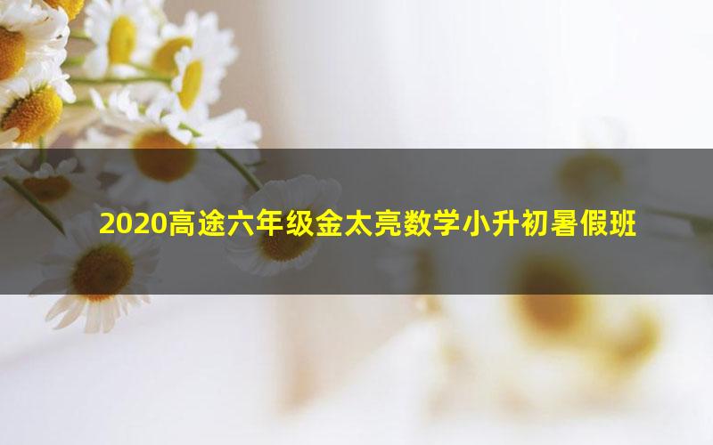 2020高途六年级金太亮数学小升初暑假班（3.14G高清视频）