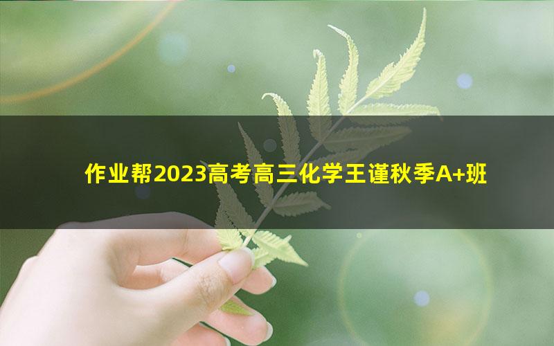 作业帮2023高考高三化学王谨秋季A+班 