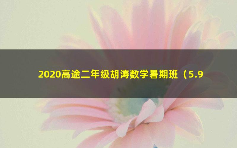 2020高途二年级胡涛数学暑期班（5.94G高清视频）