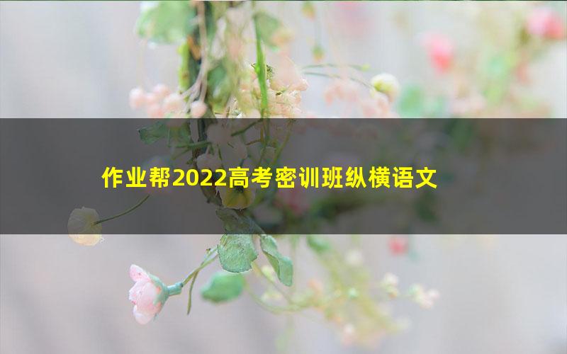 作业帮2022高考密训班纵横语文 