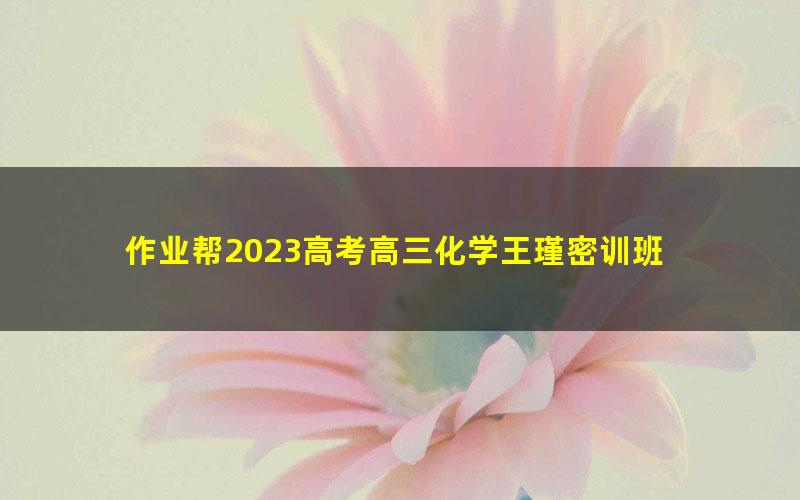 作业帮2023高考高三化学王瑾密训班 