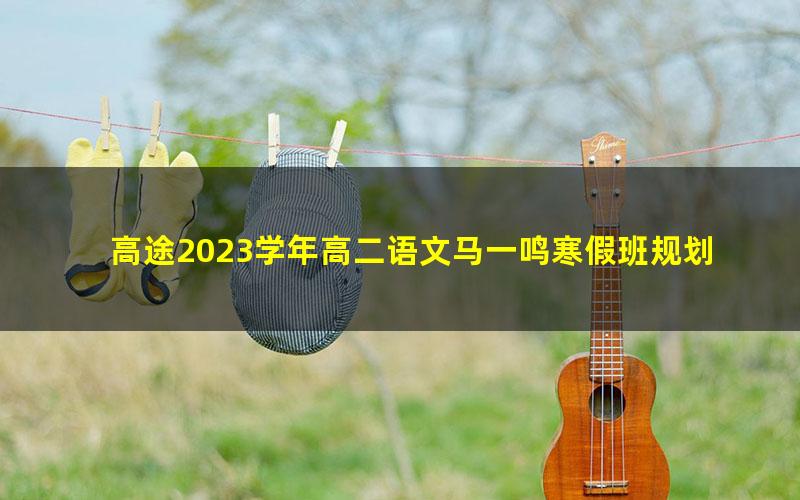 高途2023学年高二语文马一鸣寒假班规划服务（直播课）