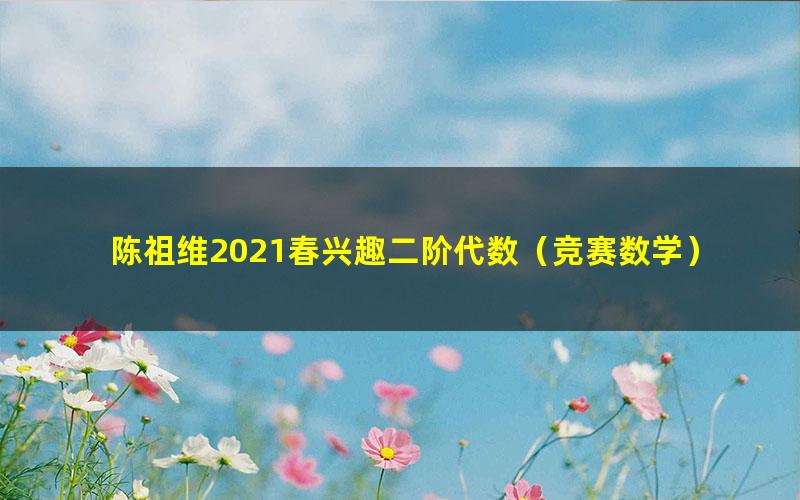 陈祖维2021春兴趣二阶代数（竞赛数学）（16讲）