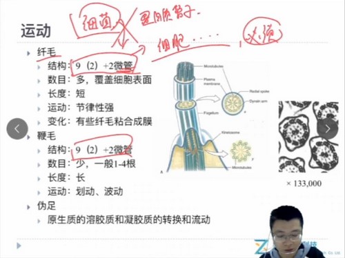 质心教育生物竞赛2020秋季动物学羊羊老师（生物竞赛动物生理）