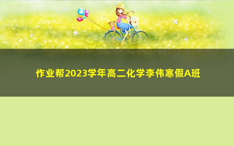 作业帮2023学年高二化学李伟寒假A班 