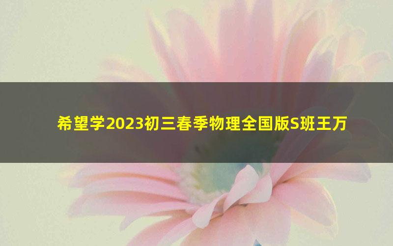 希望学2023初三春季物理全国版S班王万鑫（上部完结）