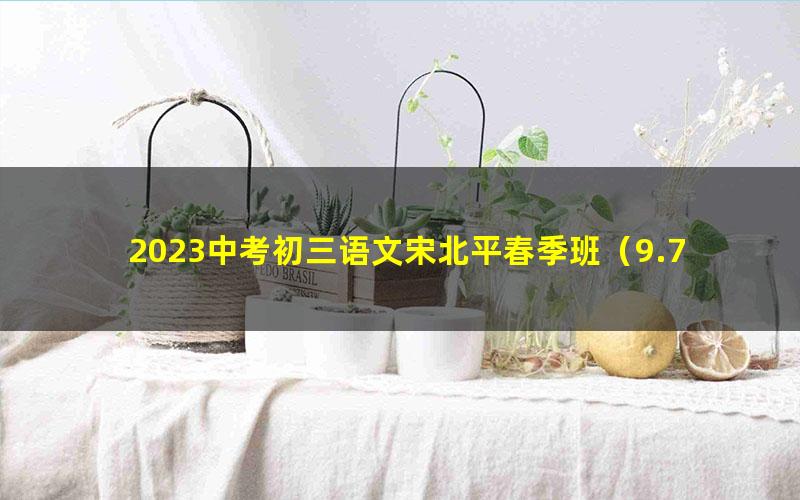 2023中考初三语文宋北平春季班（9.77G高清视频）