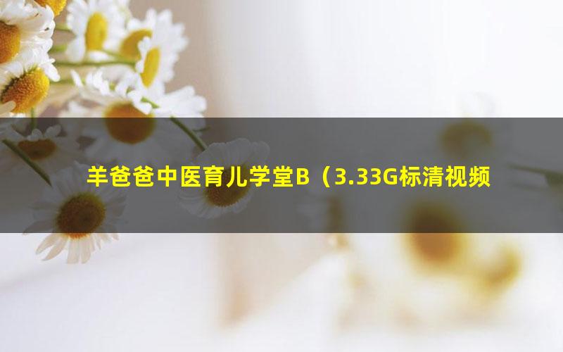 羊爸爸中医育儿学堂B（3.33G标清视频）