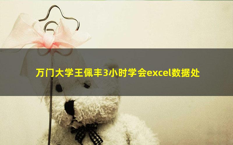 万门大学王佩丰3小时学会excel数据处理（1.66G超清视频）