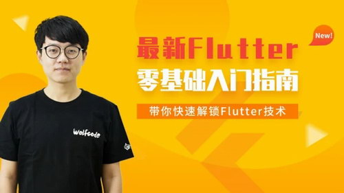 王红元《Flutter从入门到实战》（高清视频）