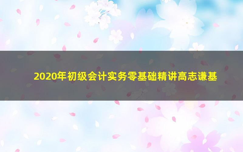 2020年初级会计实务零基础精讲高志谦基础精讲（57讲全）（高清视频）