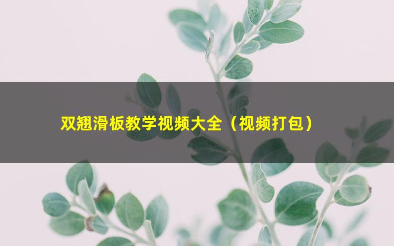 双翘滑板教学视频大全（视频打包）