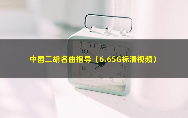 中国二胡名曲指导（6.65G标清视频）