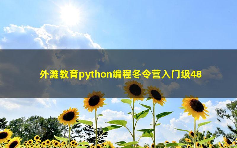 外滩教育python编程冬令营入门级48节（完结）