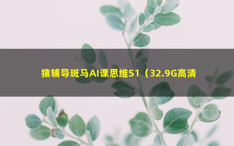 猿辅导斑马AI课思维S1（32.9G高清视频）