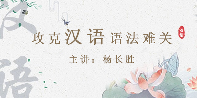 [好芳法课堂]杨长胜攻克汉语语法难关（轻松学习汉语语法）