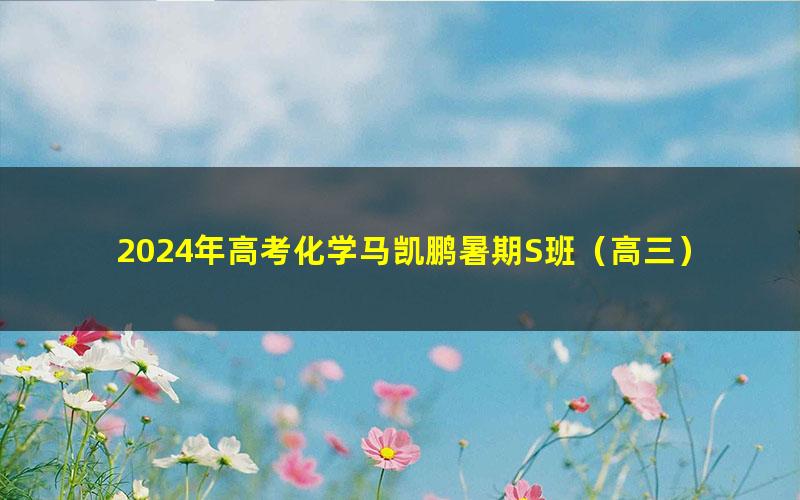 2024年高考化学马凯鹏暑期S班（高三）（5.98G高清视频）