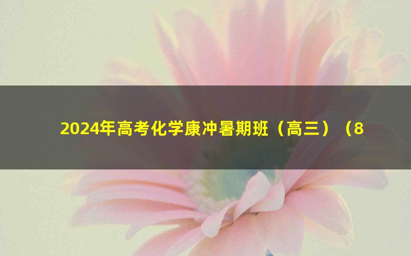 2024年高考化学康冲暑期班（高三）（8.79G高清视频）