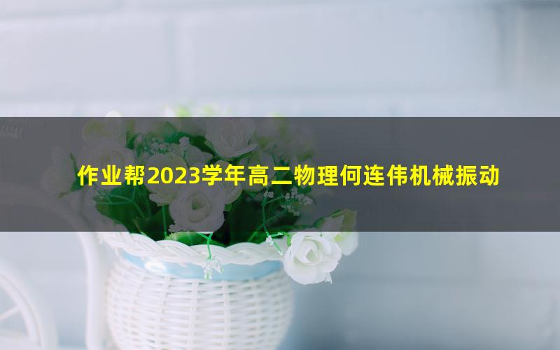 作业帮2023学年高二物理何连伟机械振动机械波光学专题课（选修模块专项）（2.42G高清视频）