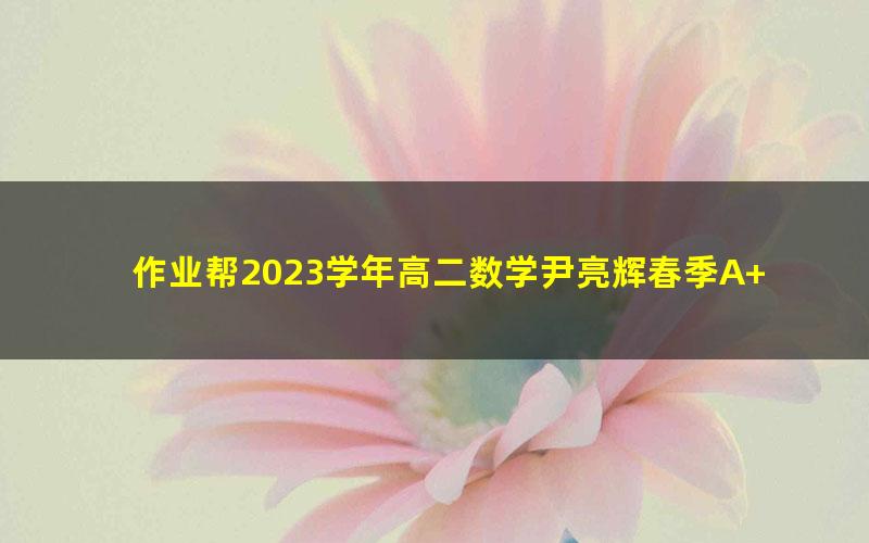 作业帮2023学年高二数学尹亮辉春季A+班（7.66G高清视频）