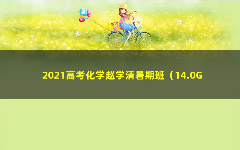 2021高考化学赵学清暑期班（14.0G高清视频）