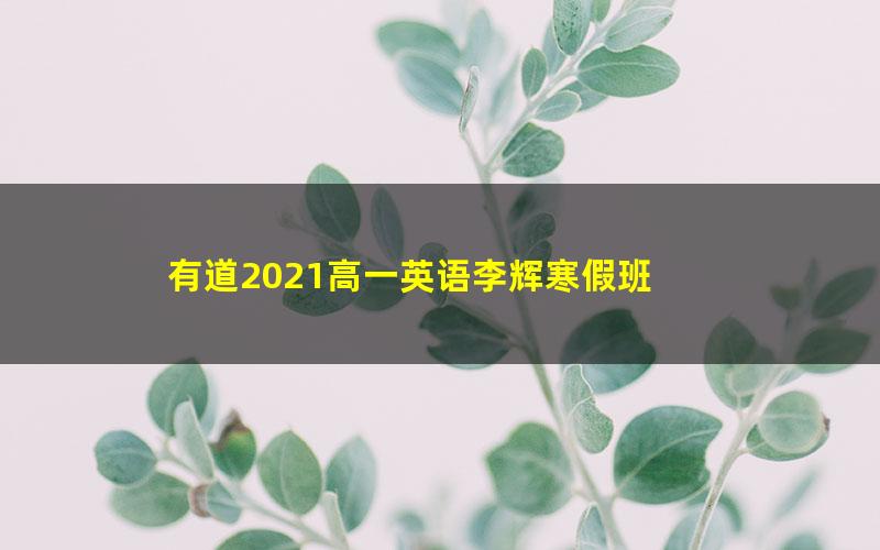 有道2021高一英语李辉寒假班 