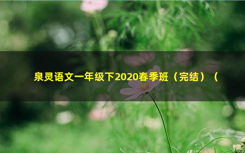 泉灵语文一年级下2020春季班（完结）（30.3G高清视频）