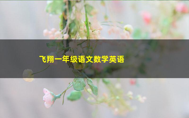 飞翔一年级语文数学英语 