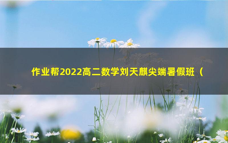 作业帮2022高二数学刘天麒尖端暑假班（16.9G高清视频）