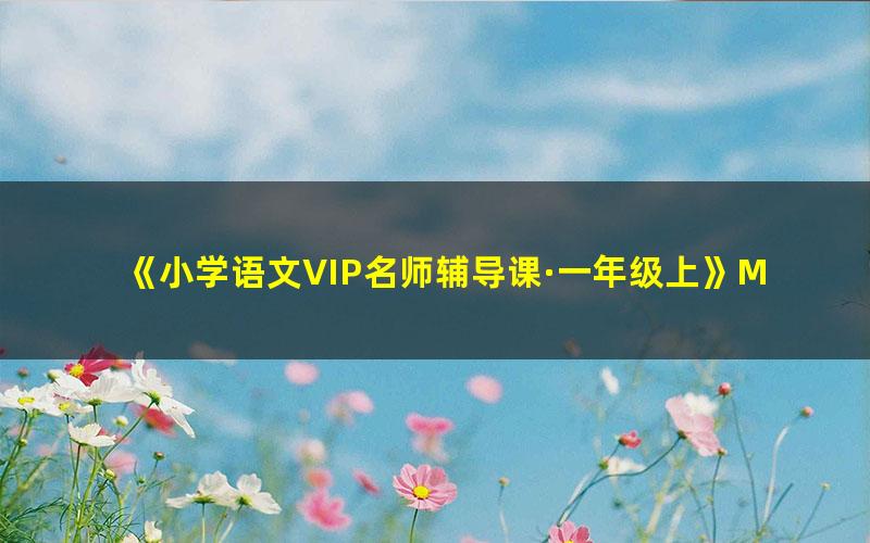 《小学语文VIP名师辅导课·一年级上》MP3音频格式 下载