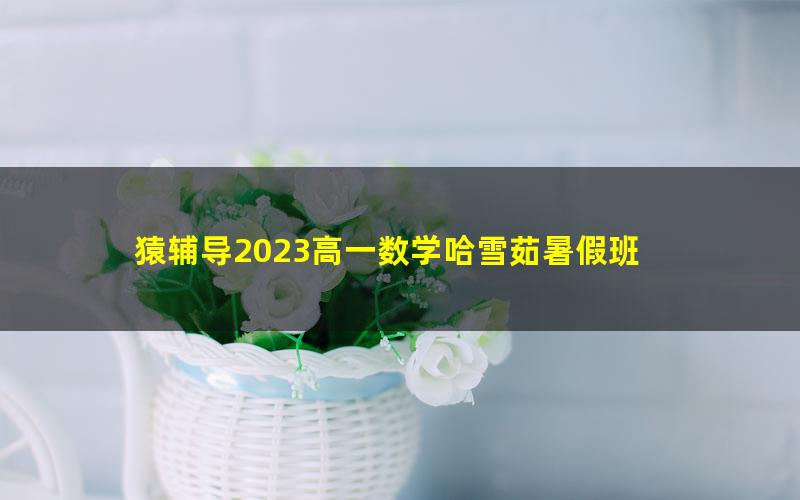 猿辅导2023高一数学哈雪茹暑假班 