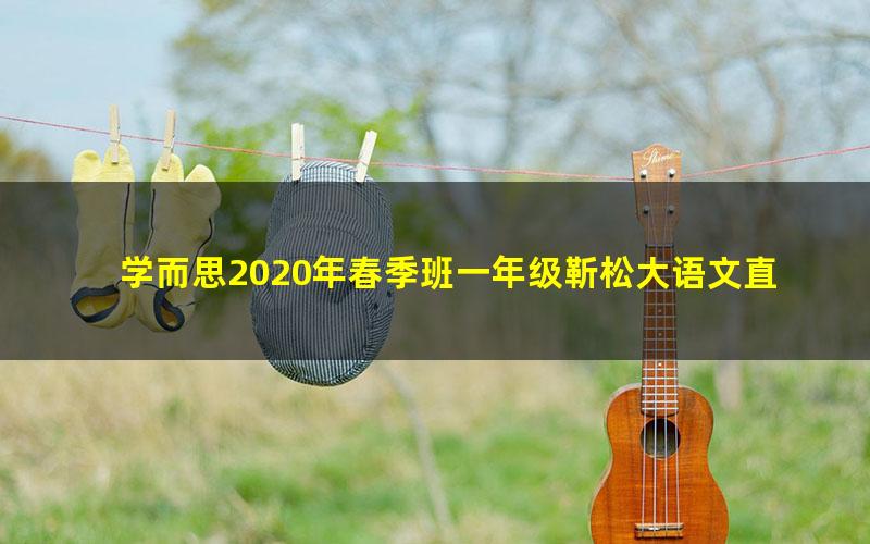 学而思2020年春季班一年级靳松大语文直播班（高清视频）