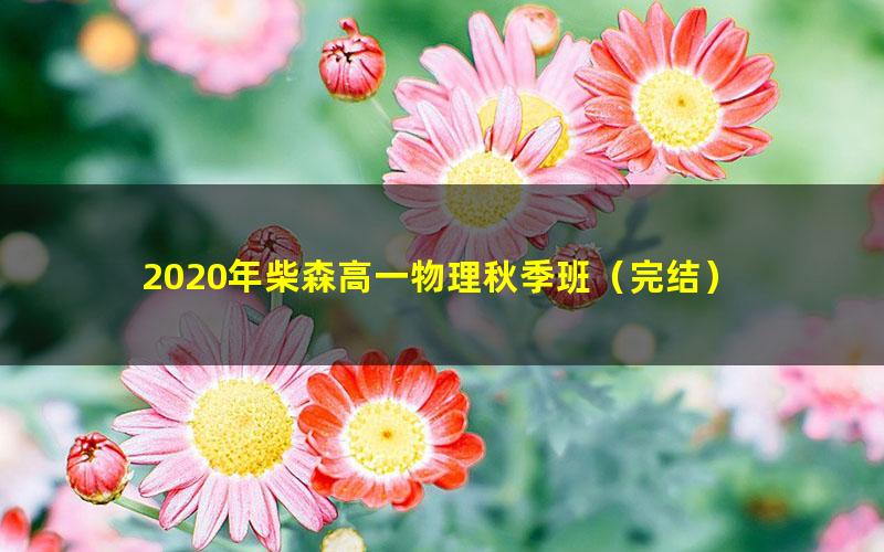 2020年柴森高一物理秋季班（完结）