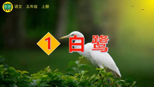 五四制七彩课堂统编版语文五年级上册教学课件 