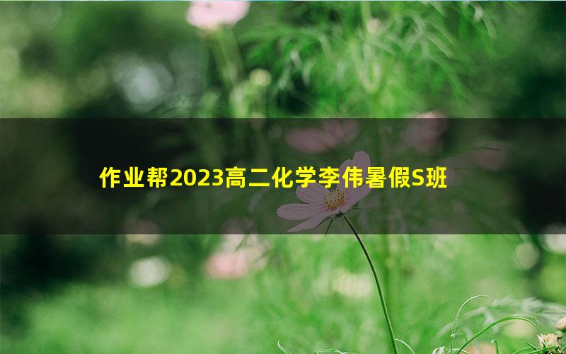 作业帮2023高二化学李伟暑假S班 