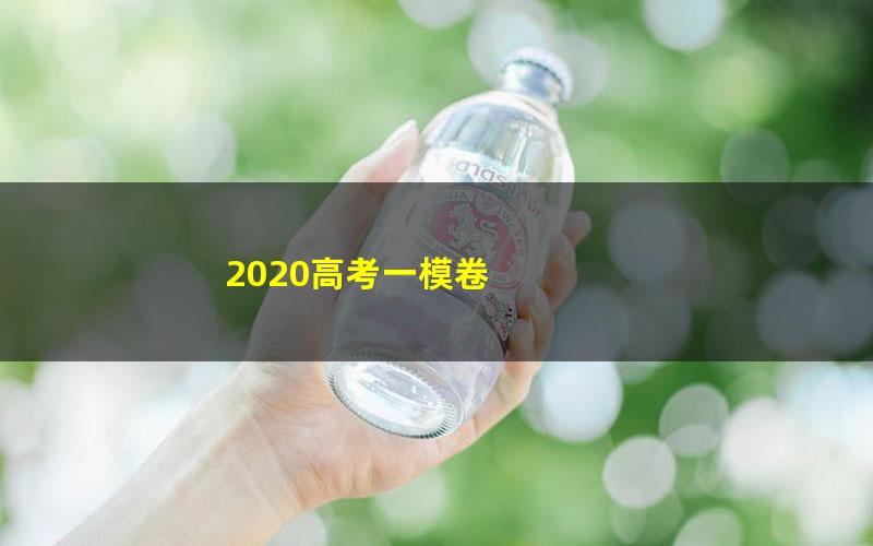 2020高考一模卷 