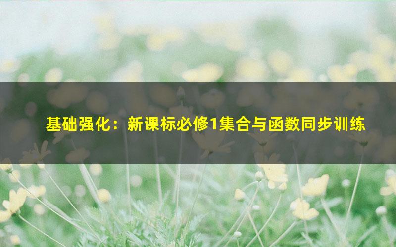 基础强化：新课标必修1集合与函数同步训练（李永乐）