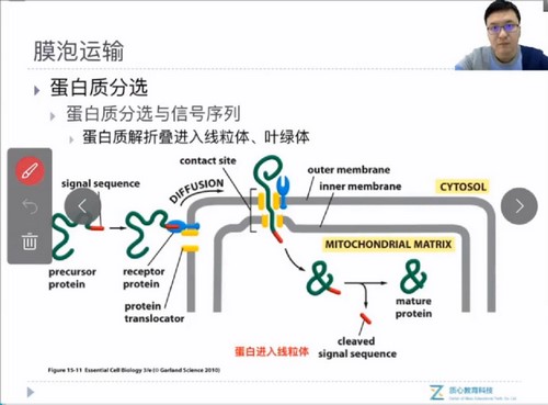 质心教育2019生物竞赛生化细胞二轮秋季班矢斌老师 