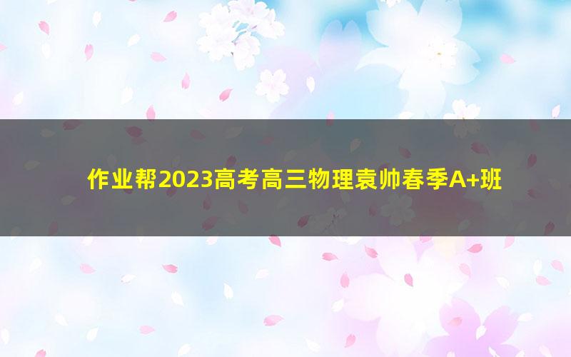 作业帮2023高考高三物理袁帅春季A+班 