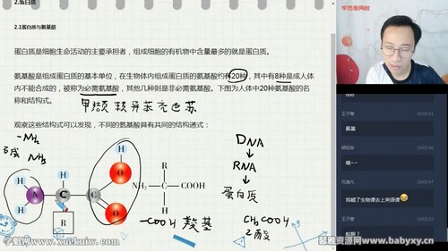 2020年学而思高一生物竞赛植物目标省一（生物竞赛植物学）