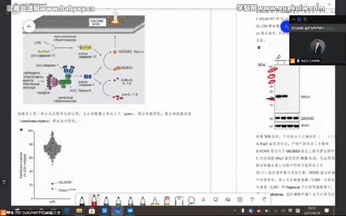 金石未开2021五一生物竞赛集训考前刷题班录播课（16讲8次模拟）（3.36G高清视频）