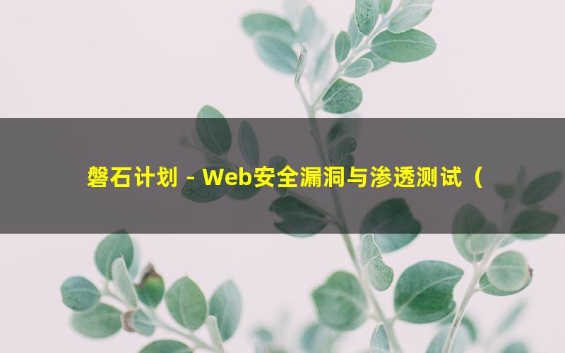 磐石计划 - Web安全漏洞与渗透测试（超清视频）