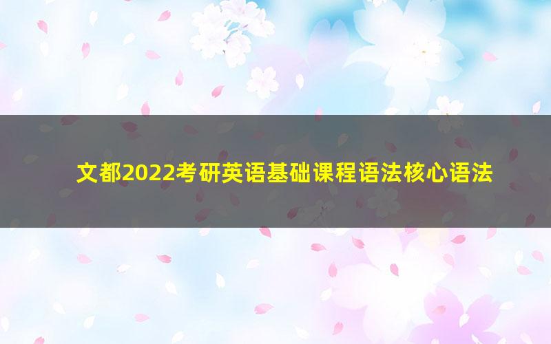 文都2022考研英语基础课程语法核心语法王泉（5.35G高清视频）